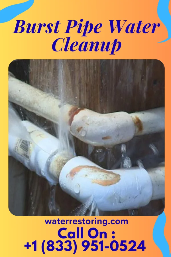 Burst Pipe Water Cleanup in Garden City Park, NY