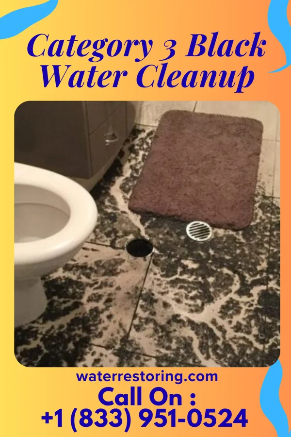 Category 3 Black Water Cleanup in Garden City Park, NY