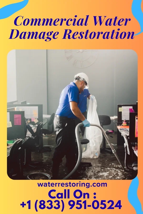 Commercial Water Damage Restoration in Garden City Park, NY