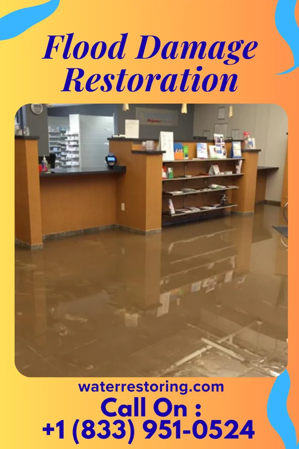 Flood Damage Restoration in Garden City Park, NY